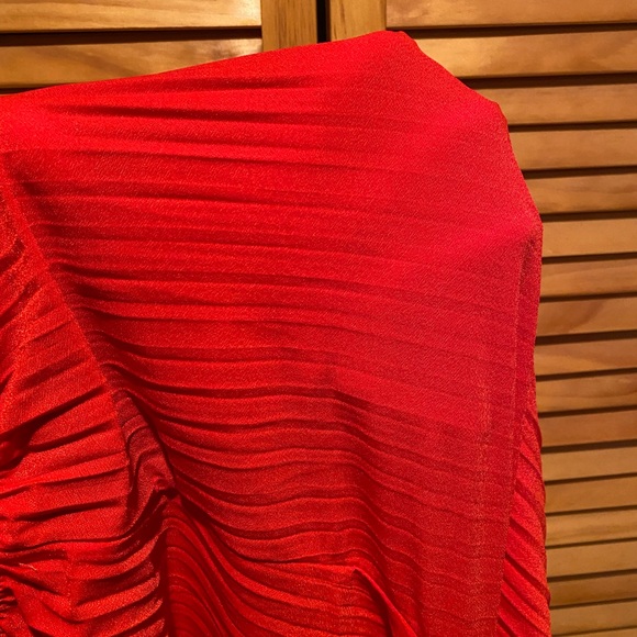 Red Wide Leg Palazzo Pants - Picture 8 of 9